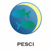 PESCI - SOGNO MARINO
