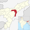 ASSAM TGFOP1 Bukhial